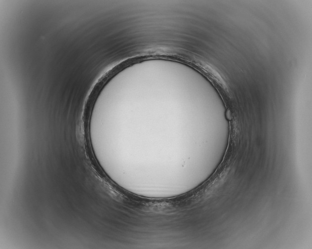 X0000111610784200908071330