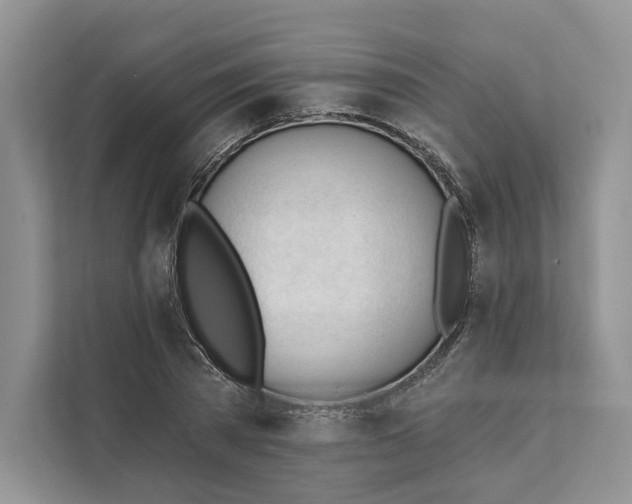 X0000111610785200908071330