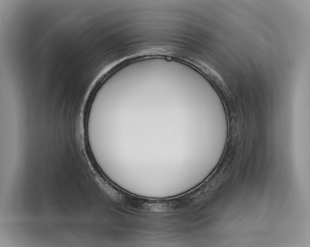 X0000111610792200908071330