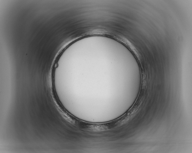 X0000111610795200908071330