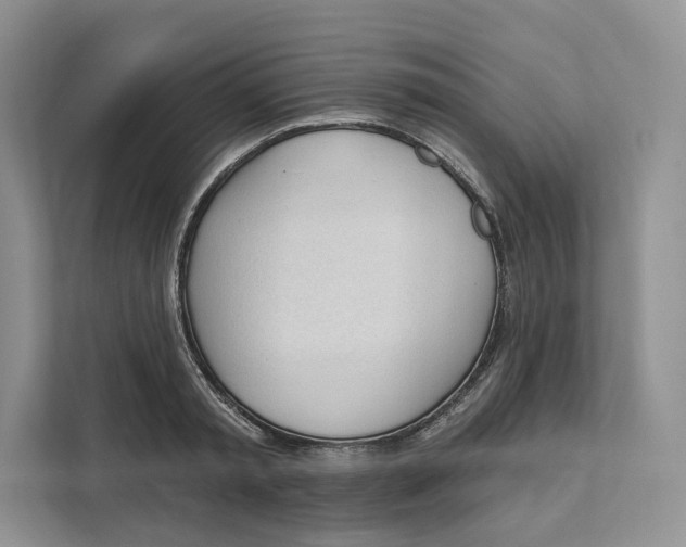 X0000111610797200908071330