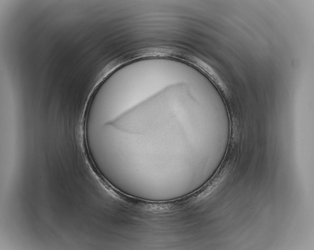 X0000111610802200908071329