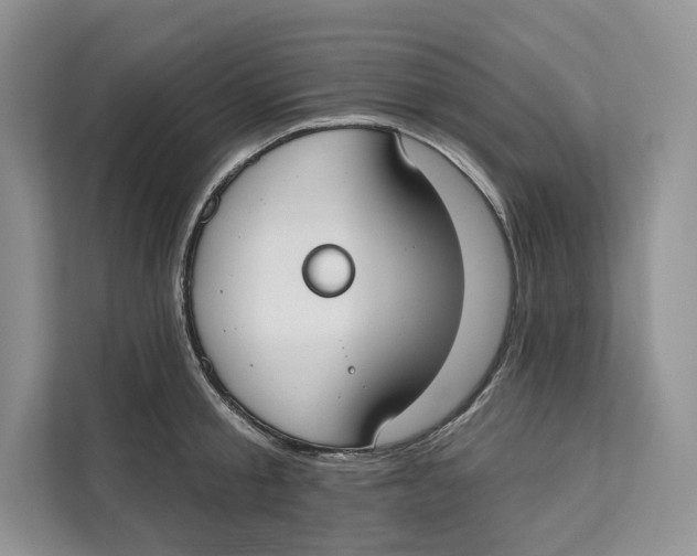 X0000111610805200908071329