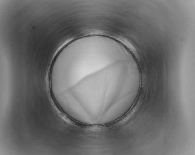 X0000111610806200908071329