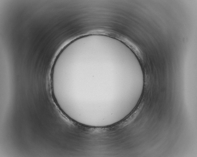 X0000111610808200908071329