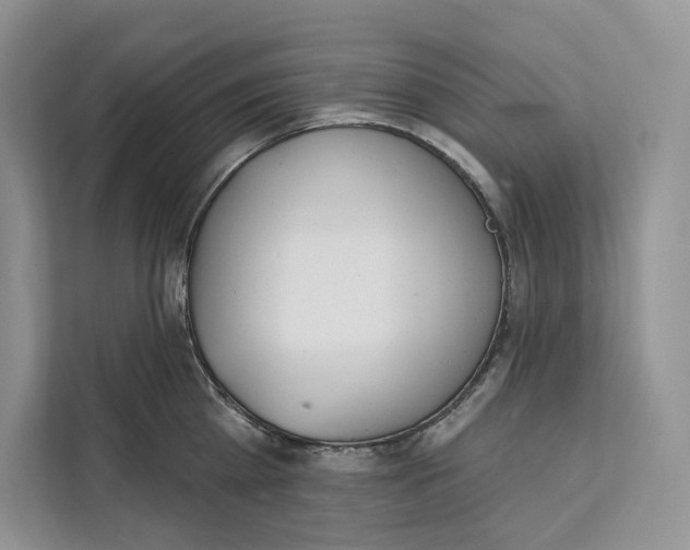 X0000111610809200908071329