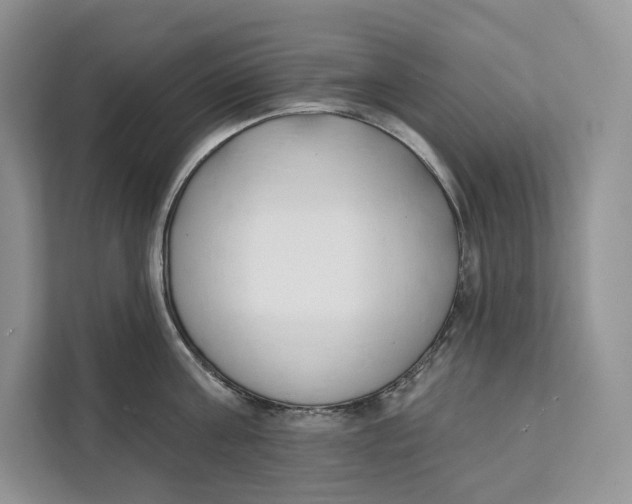 X0000111610811200908071329