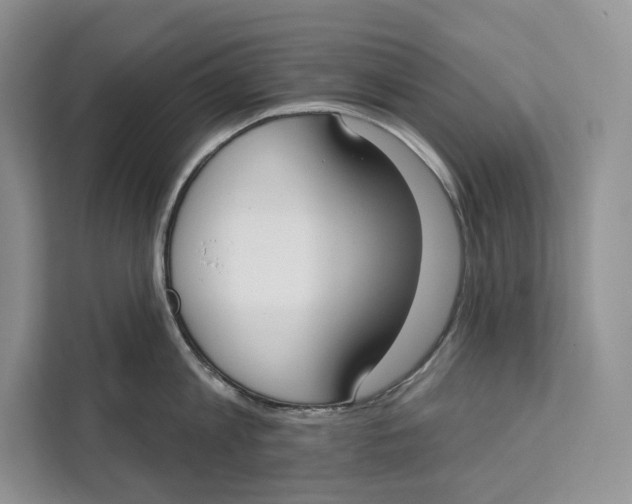 X0000111610813200908071329