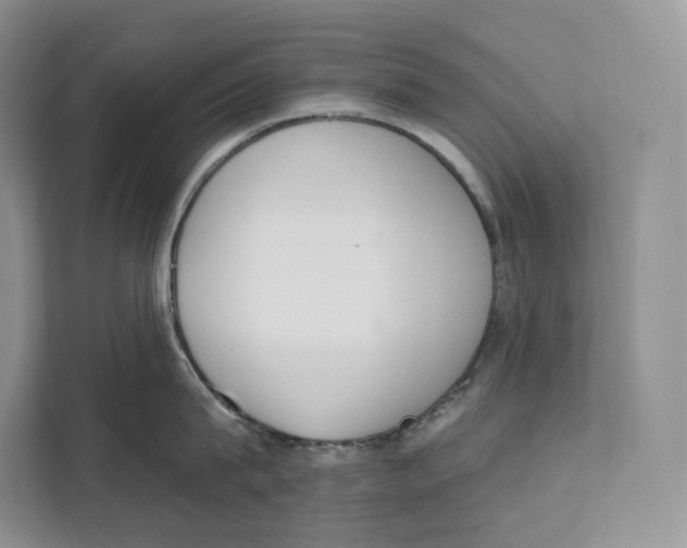 X0000111610815200908071329