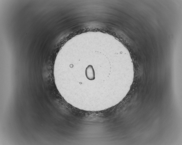 X0000111610824200908071329