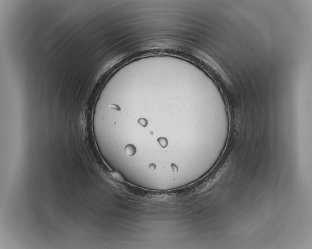 X0000111610826200908071329