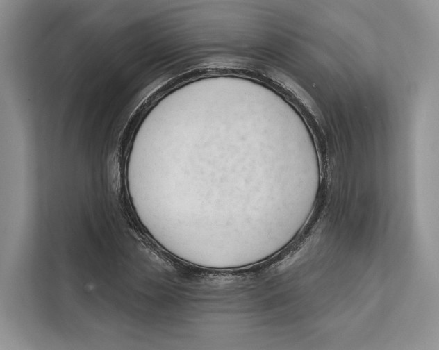 X0000111610829200908071329