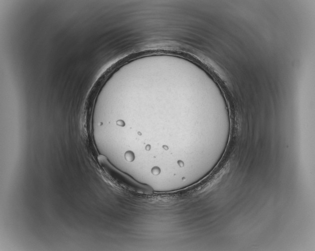 X0000111610830200908071329