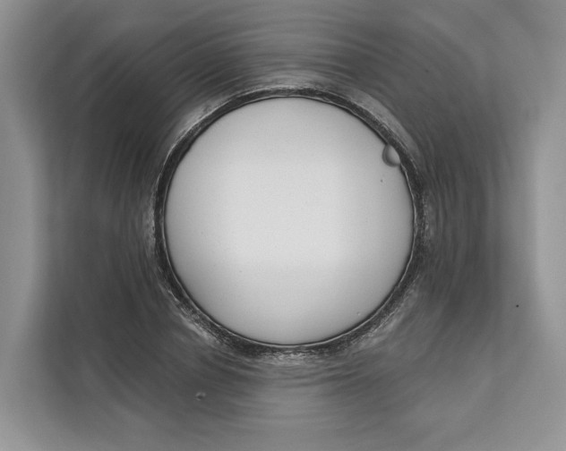 X0000111610834200908071329