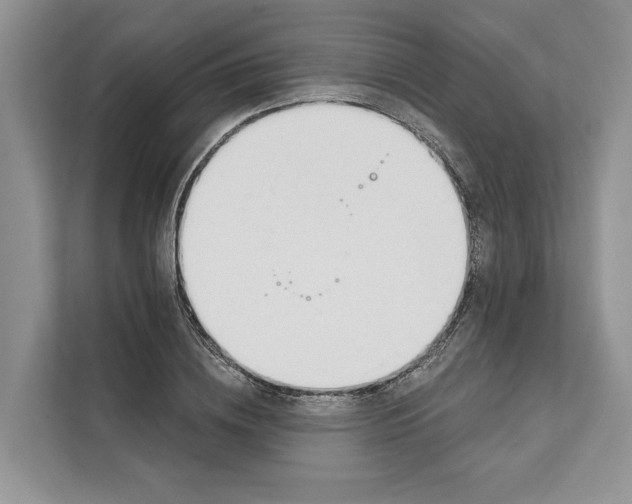 X0000111610836200908071329