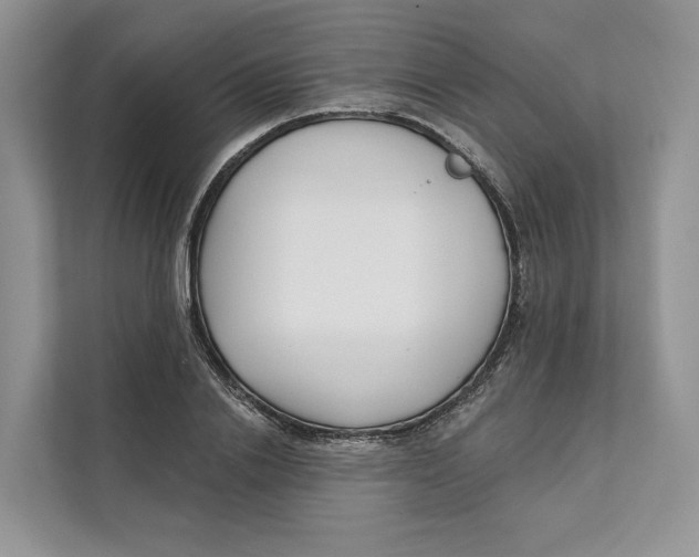 X0000111610838200908071329