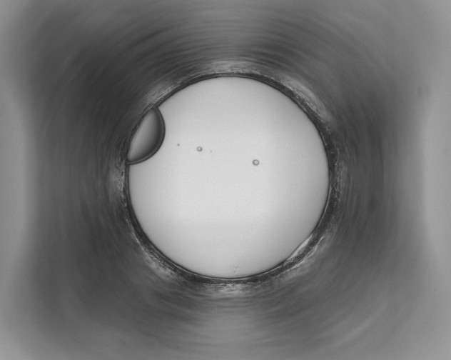 X0000111610841200908071329