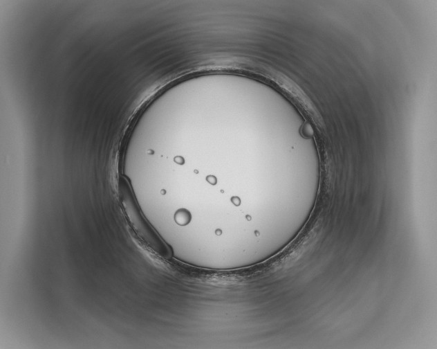 X0000111610842200908071329