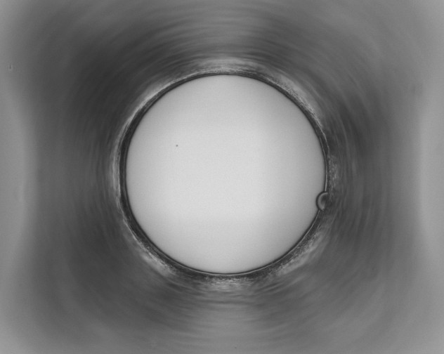 X0000111610843200908071329