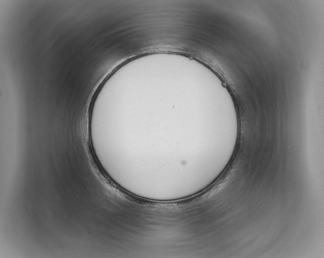 X0000111610844200908071329