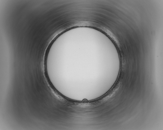 X0000111610845200908071329