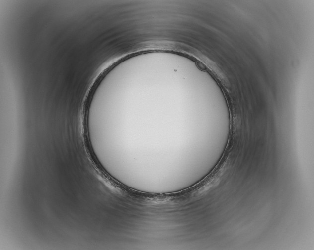 X0000111610846200908071329