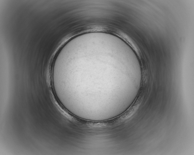 X0000111610851200908071329