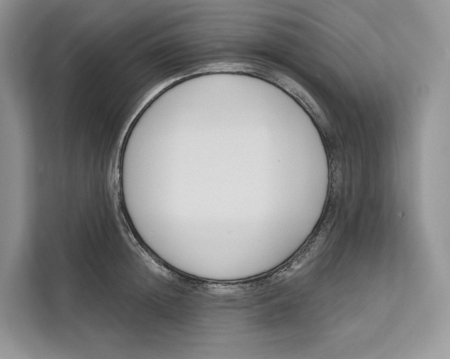 X0000111610852200908071329