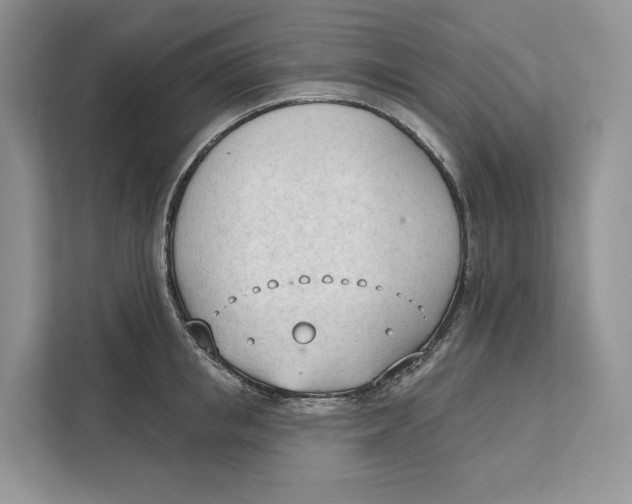 X0000111610853200908071329