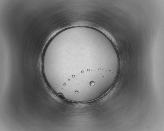 X0000111610854200908071329