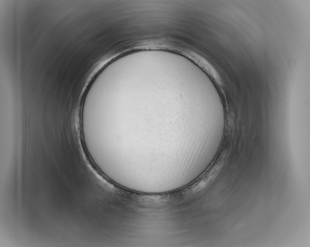 X0000111610855200908071329