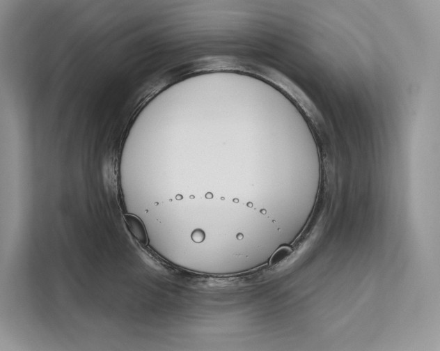 X0000111610857200908071329