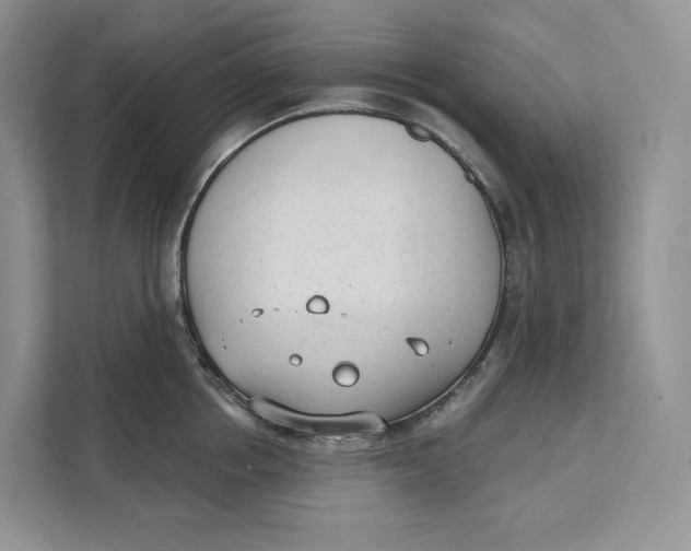 X0000111610858200908071329