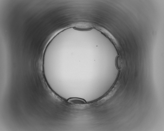 X0000111610860200908071329