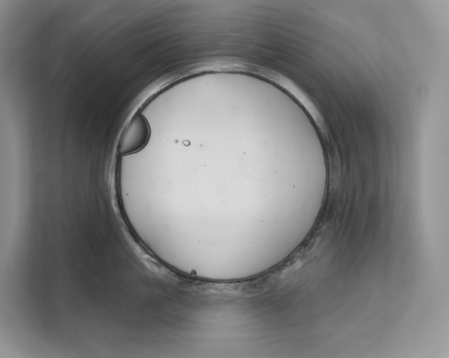 X0000111610861200908071329