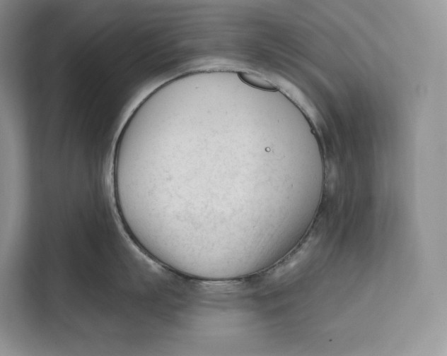 X0000111610863200908071329