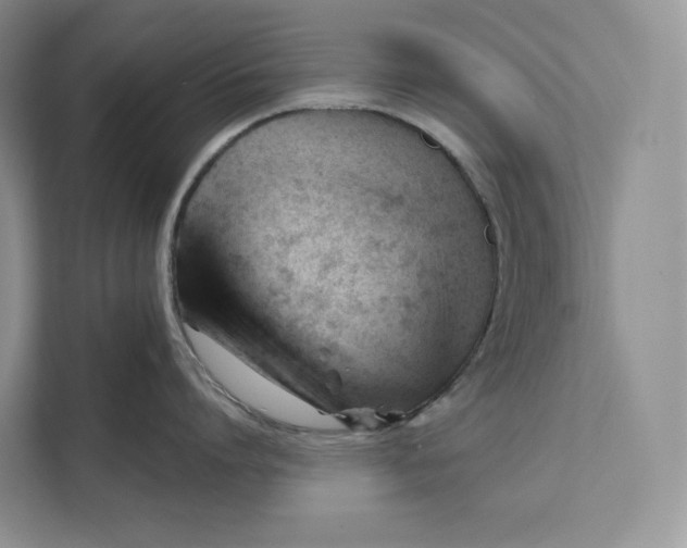 X0000111610864200908071329