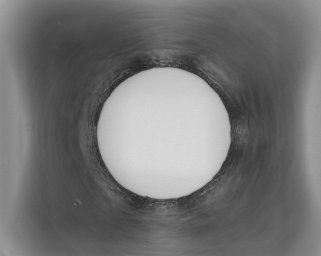 X0000111610865200908071329