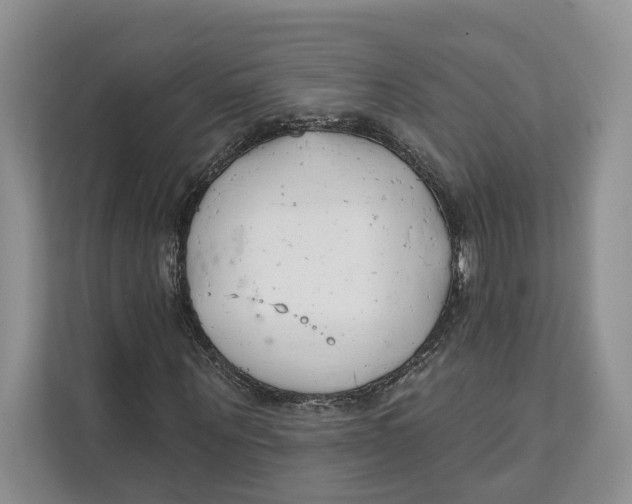 X0000111610867200908071329