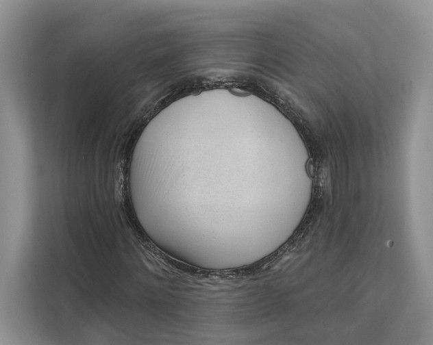 X0000111610868200908071329