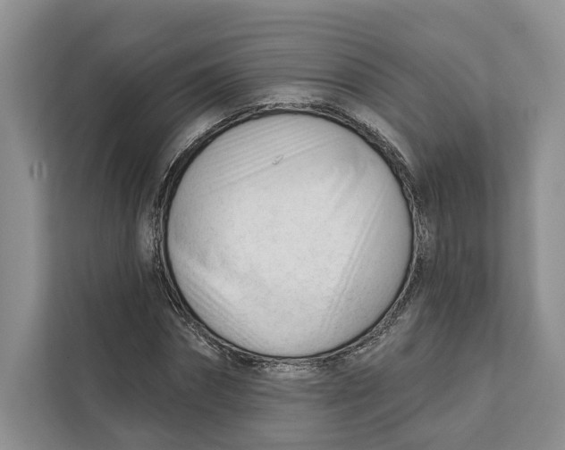 X0000111610874200908071329