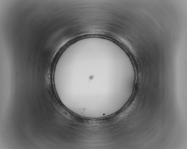 X0000111610875200908071329