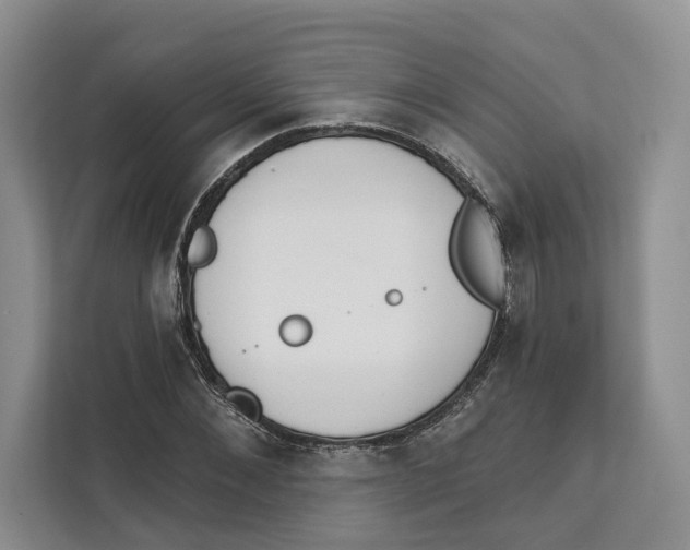 X0000111610876200908071329