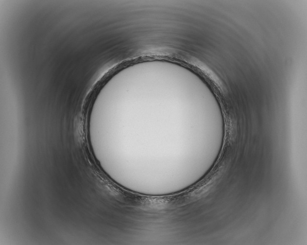 X0000111610878200908071328