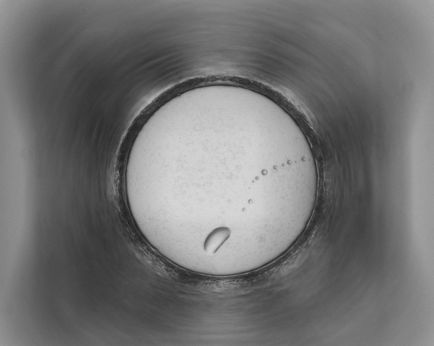 X0000111610879200908071328