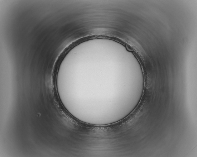 X0000111610880200908071328