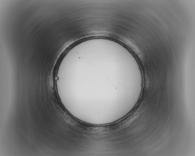 X0000111610883200908071328