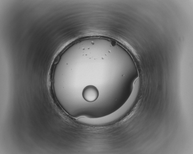 X0000111610885200908071328