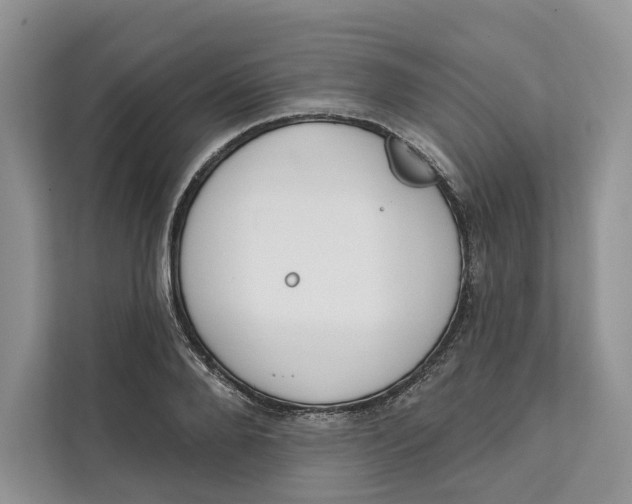 X0000111610888200908071328