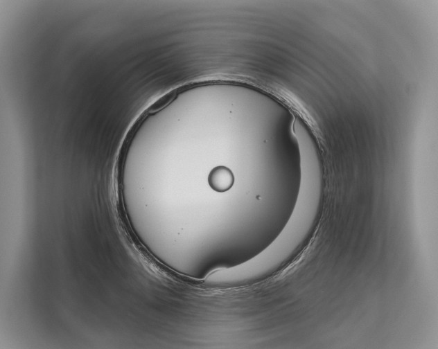 X0000111610892200908071328